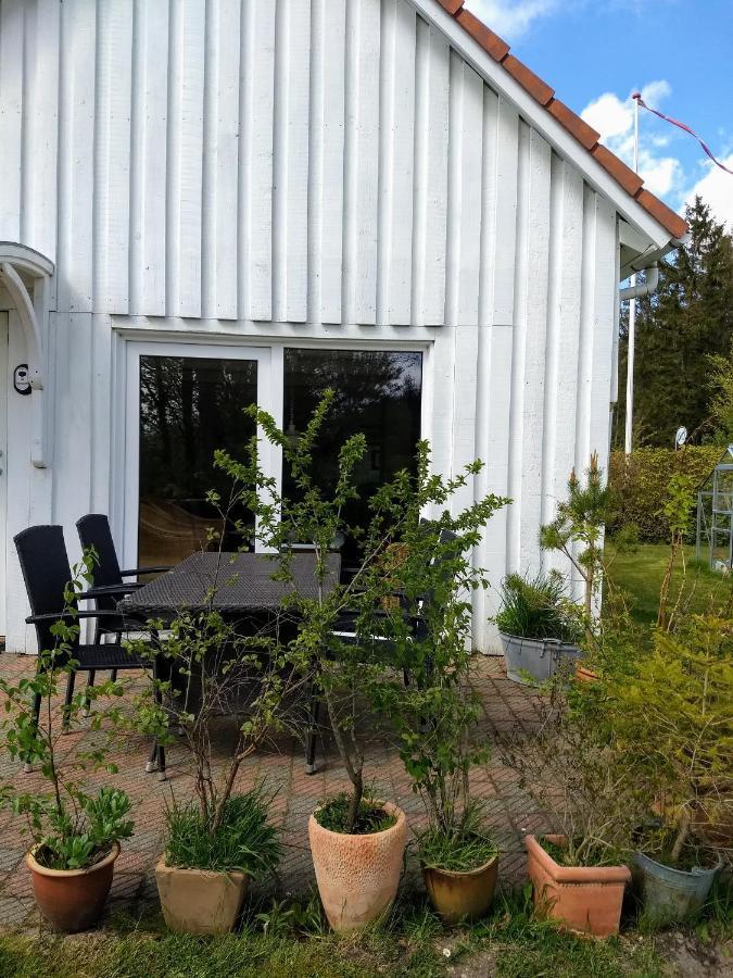 Вилла Abildskovhus Feriebolig Funder Kirkeby Экстерьер фото
